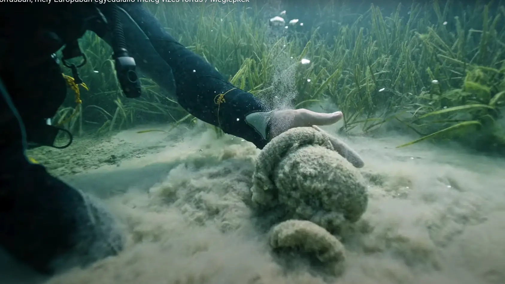 Búvárélmény a meleg vízes Fényes-forrásban-Fedezd fel a titokzatos világát”