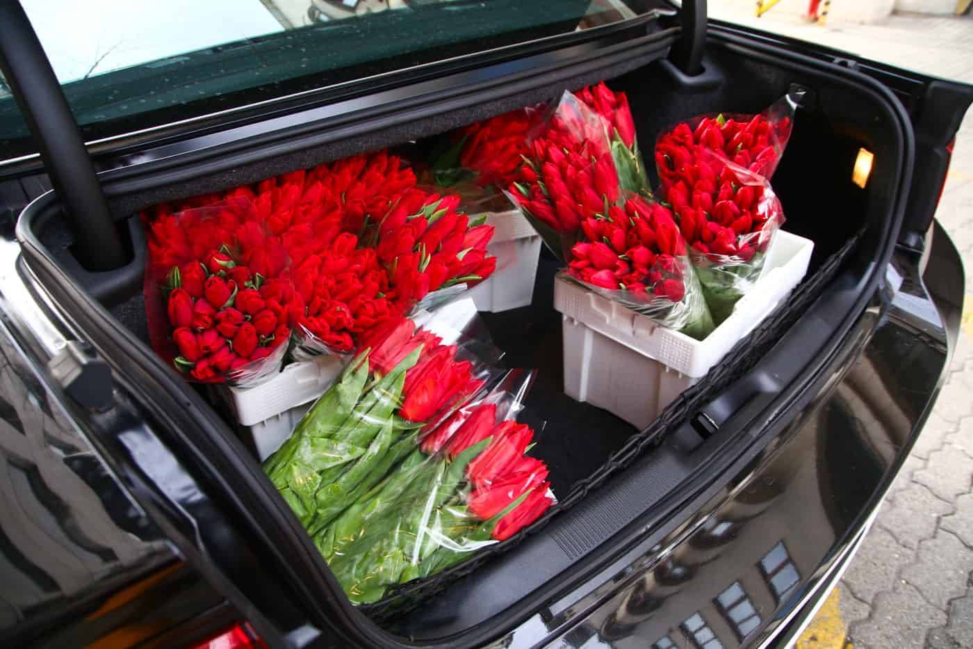 Ajándékötletek nőnapra – Megható gesztusok ingyenesen vagy minimális költségvetéssel