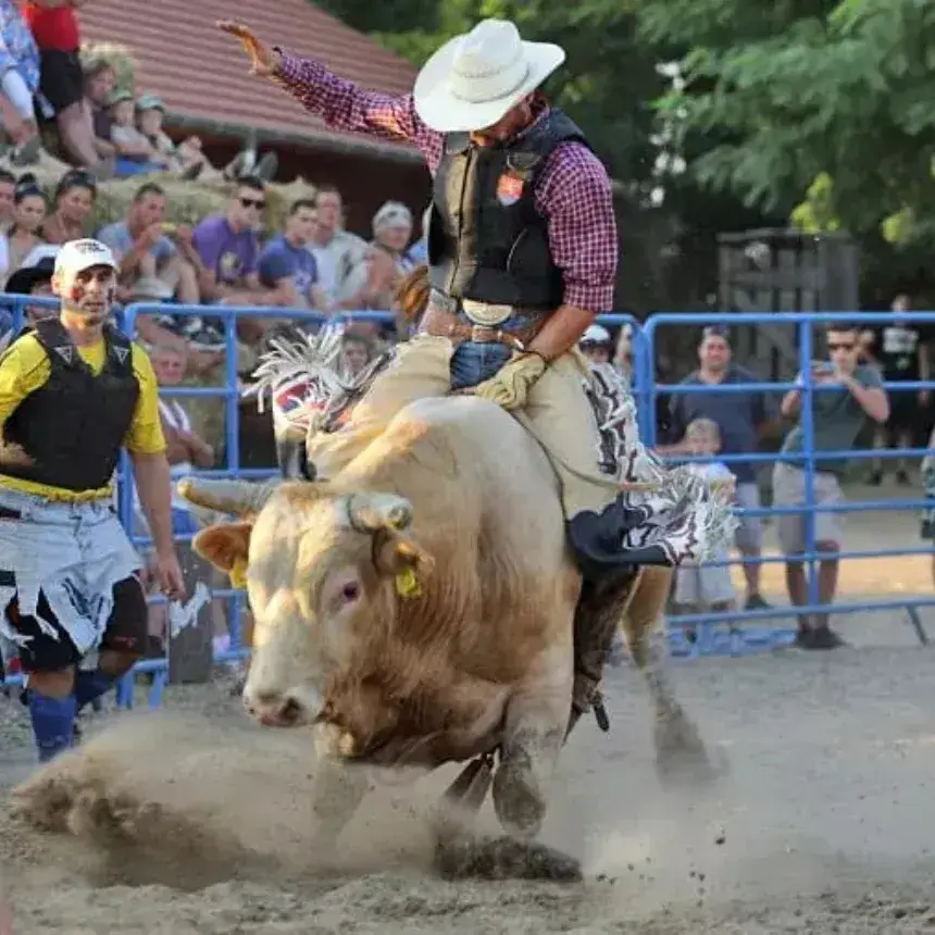 Bikarodeó / Legveszélyesebb Meglepkék élmény