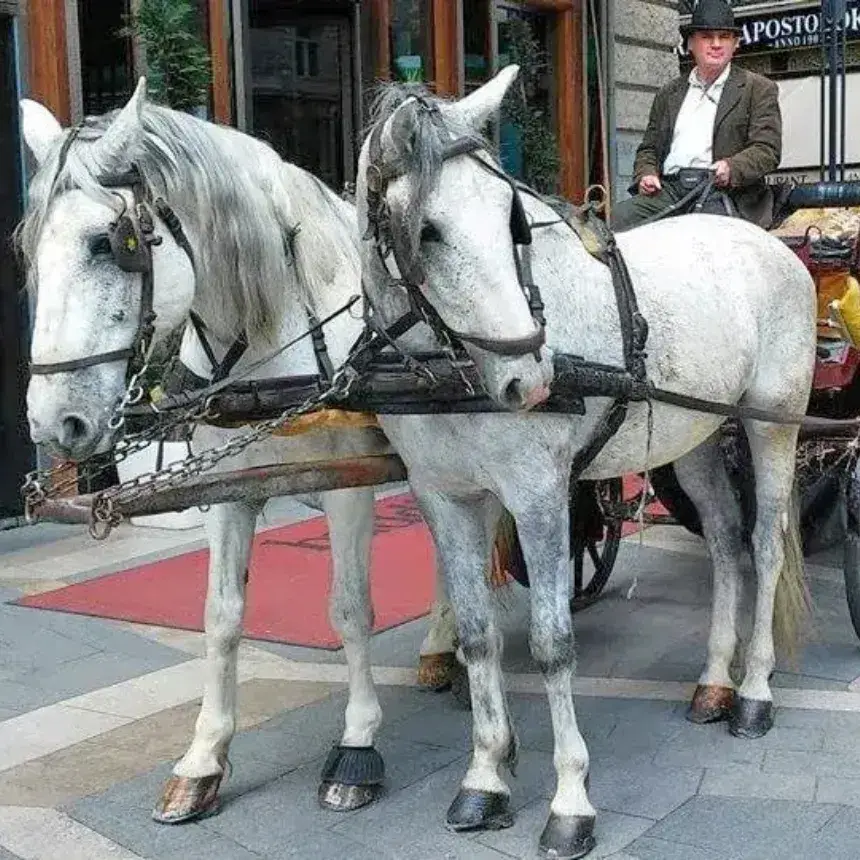 Romantikus hintózás Budapesten kedveseddel