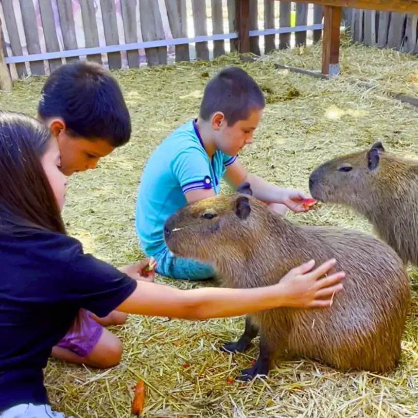 Safari és Családi Élménypark 'VIP' belépőjegy – Vár Titeket Békés megye vadonja!