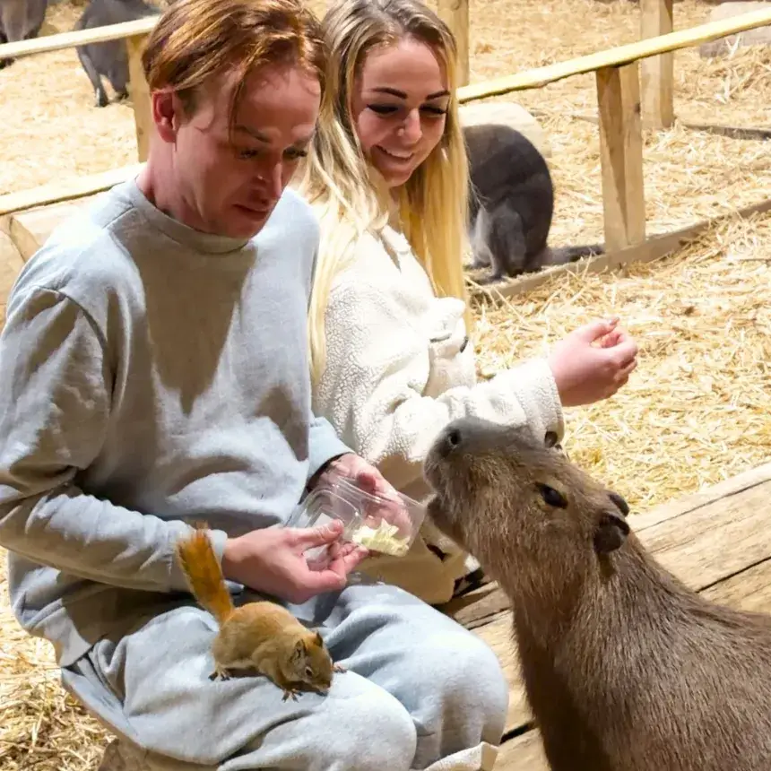 Safari és Családi Élménypark belépőjegy – Vár Titeket Békés megye vadonja!