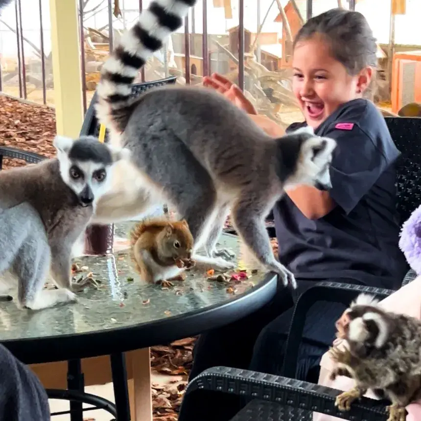 Safari és Családi Élménypark 'VIP' belépőjegy – Vár Titeket Békés megye vadonja!