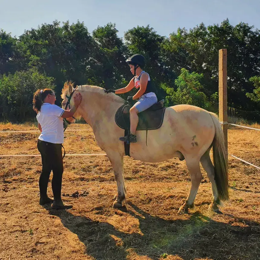 Élménylovaglás elbűvölő Fjord lovakkal Monoron