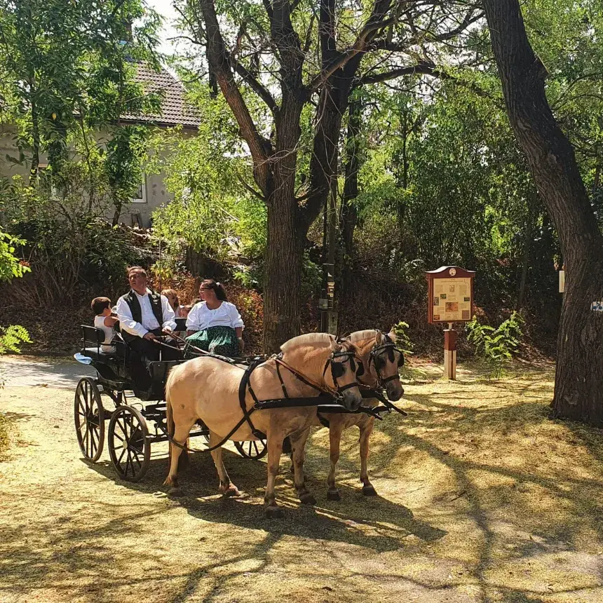 Mini állatsimogató + Élménylovaglás és Sétakocsizás Fjord lovakkal Monoron