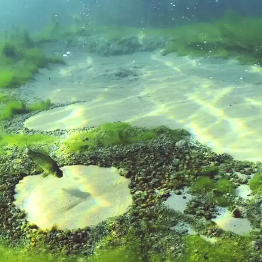 INTRO merülés Tatán a Fényes-forrásban előképzettség nélkül