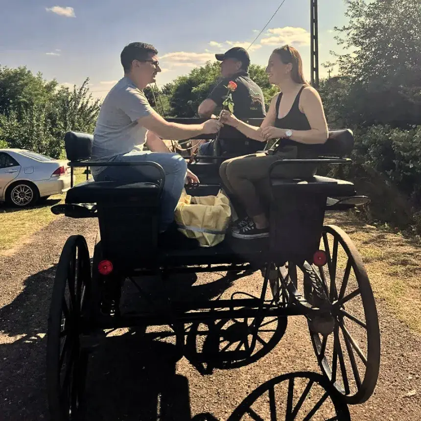 Romantikus hintózás kettesben Monor tájain – Elbűvölő Fjord lovakkal a fogatban!