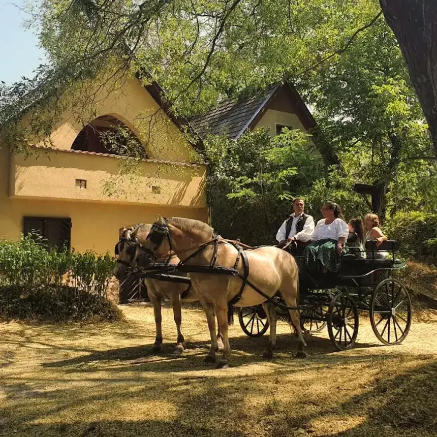 Mini állatsimogató + Sétakocsizás elbűvölő Fjord lovakkal Monor tájain