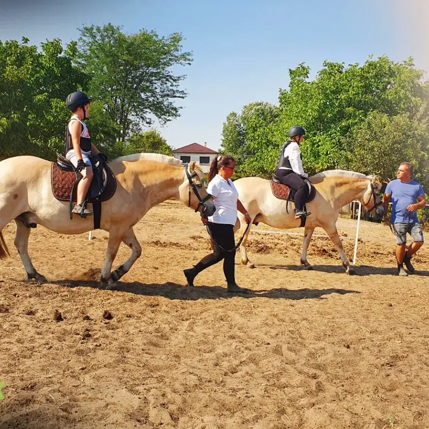 Lovasrandi elbűvölő Fjord lovakkal! – Páros élménylovaglás Monoron