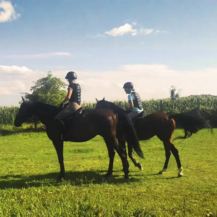 Páros Terep Lovaglási élmény Zalakaros melletti farmról indulva