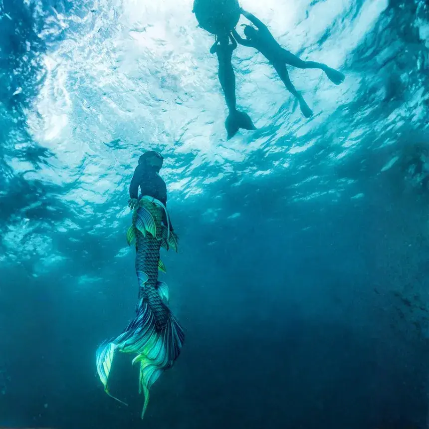 PADI Haladó Sellőúszás tanfolyam Horvátországban