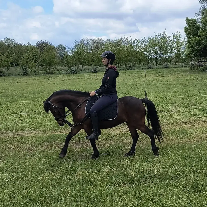 Élménylovaglás a Kövér Ranch-on, Nagytarcsán