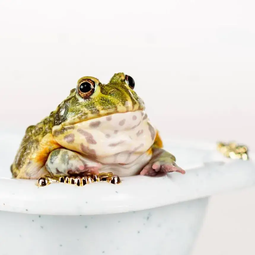 Békaland /World of Adventures szabadtéri játék bringával