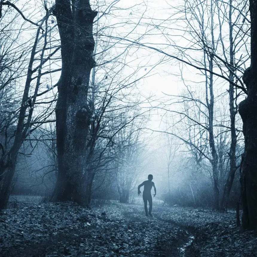 A Bestia /World of Adventures szabadtéri játék Nagykovácsiban