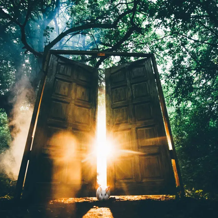 Az Elveszettek Erdeje /World of Adventures szabadtéri játék