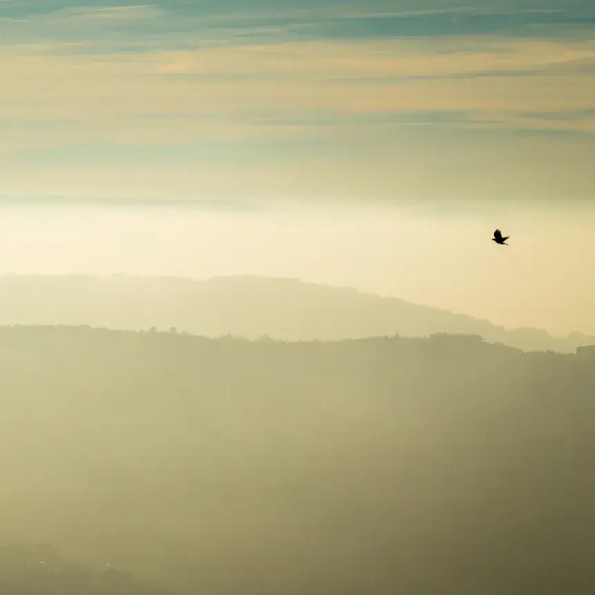 Ha leszáll a köd… /World of Adventures szabadtéri játék bringával Balatonszemesen