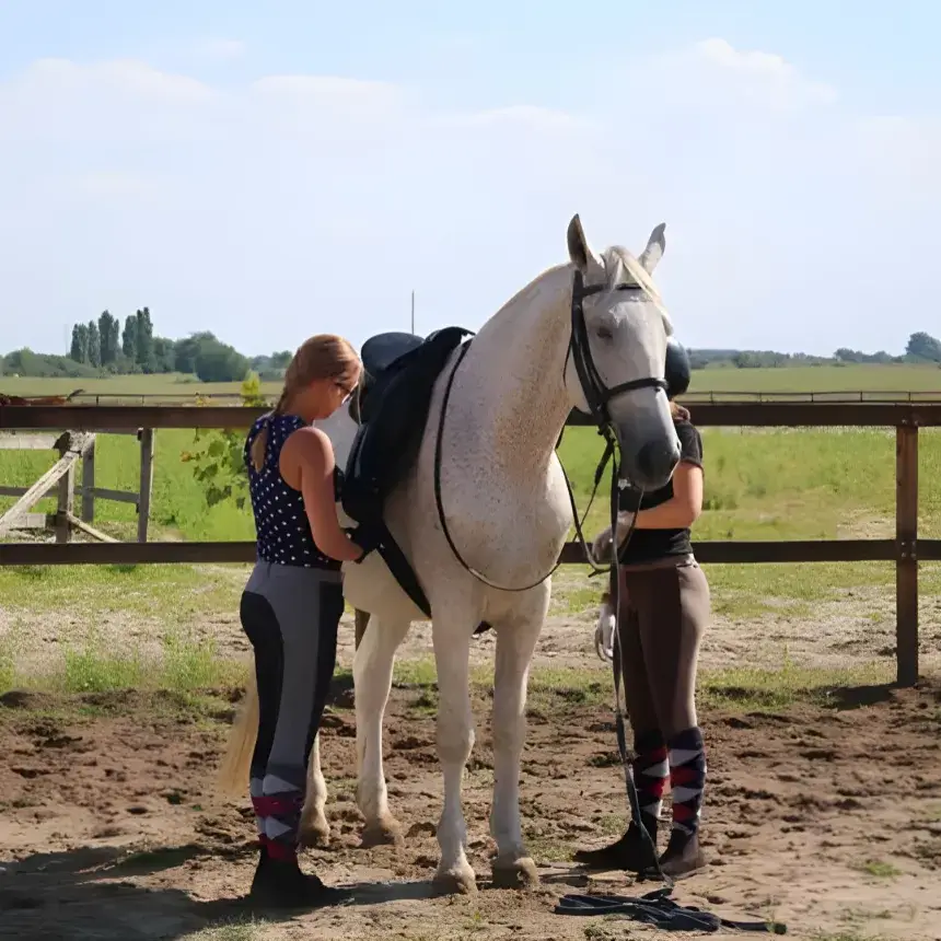 Karámban történő lovaglás haladóknak Lajosmizsén (oktatással)