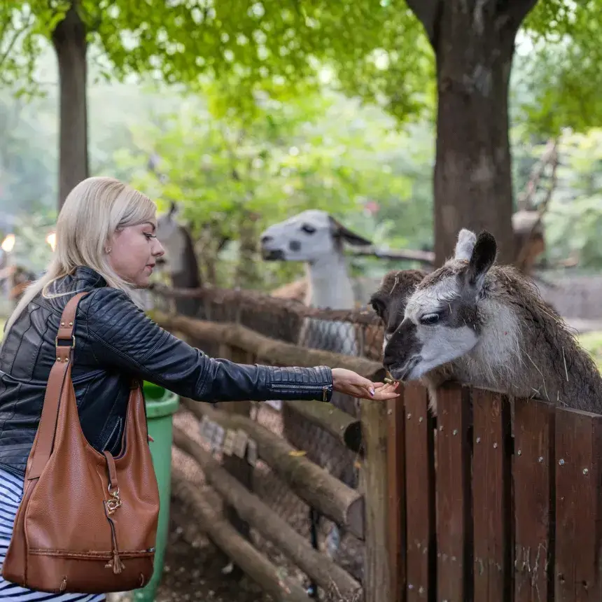 Páros belépőjegy a Kecskeméti Vadaskertbe