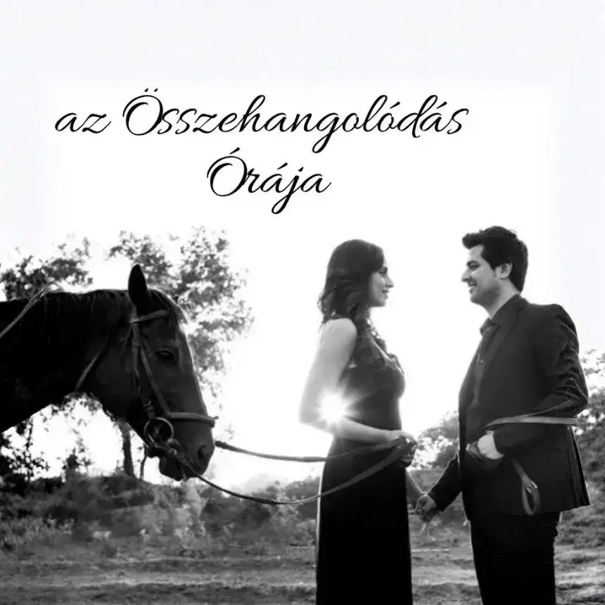 A Összehangolódás órája pároknak, lovakkal