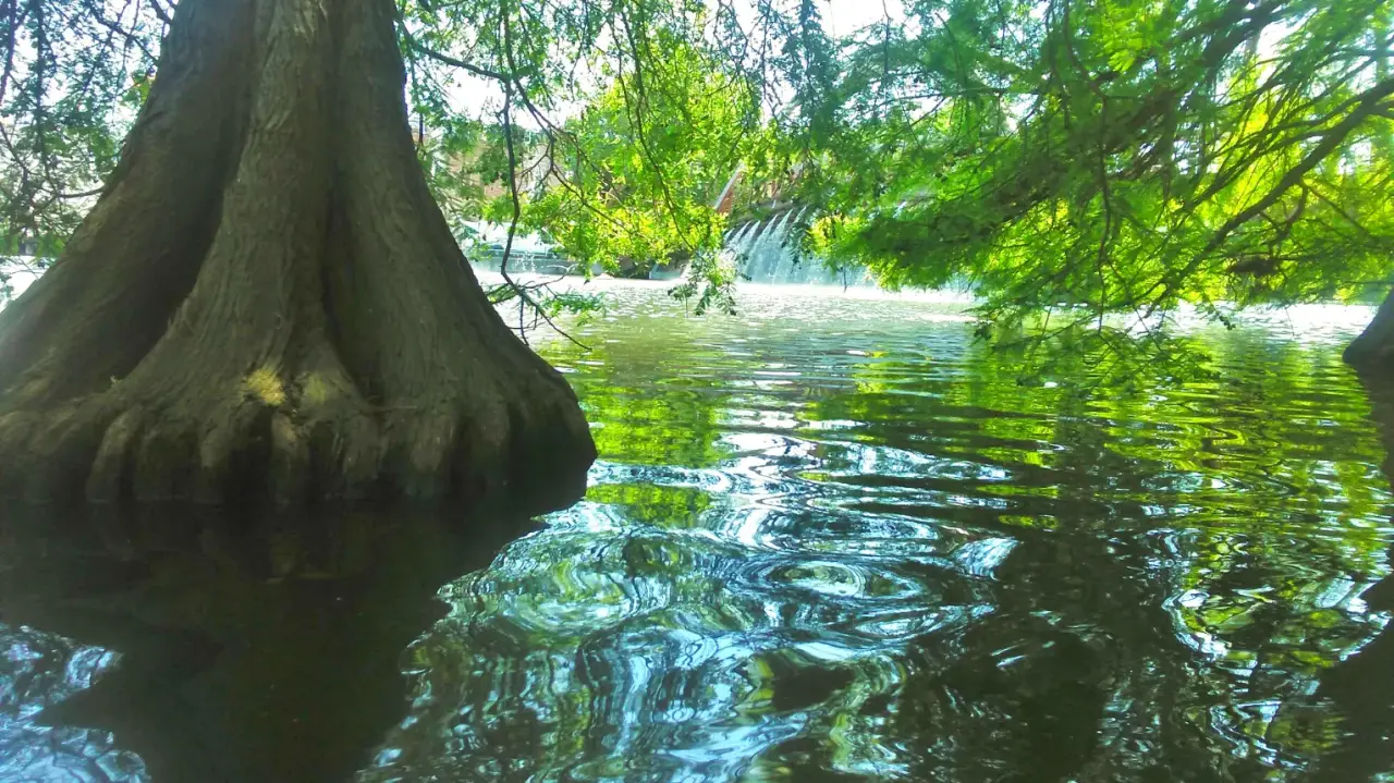 Céges SUPer kaland a Kőrösön a kollégákkal
