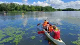 Természet, élmények, szabadság! – Tisza-tavi kenus vízitúra (Felnőtteknek)