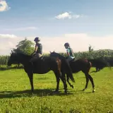 Páros Terep Lovaglási élmény Zalakaros melletti farmról indulva