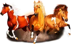 Állatos élmények 2