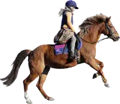 Gyerekeknek élmények 2