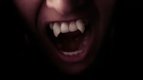 Vámpírvadász /World of Adventures szabadtéri játék a Budai Várban 4