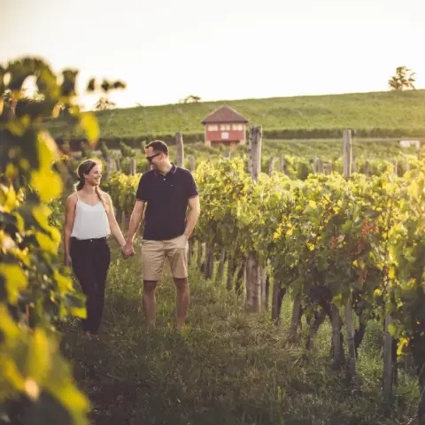 Lazítós kiruccanás kettesben a Villányi Borvidéken, Villánykövesden