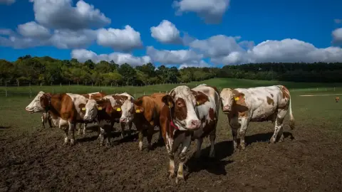 Nyugalom és Béke a Breier Farmon! – Szállás a Tanya Panzióban: Classic apartman 5