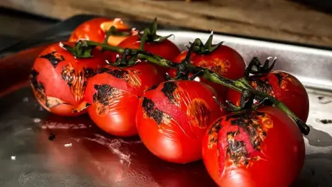 Ínyenc ízek a Breier Farmon: Tanya Bisztró – a hely, ahol jó enni! 6