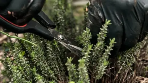 Ínyenc ízek a Breier Farmon: Tanya Bisztró – a hely, ahol jó enni! 10