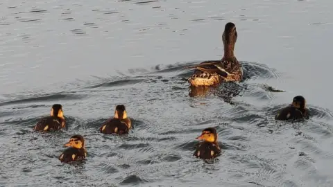 Privát hajótúra a Ráckevei/Soroksári Duna-ág vizén korlátlan Proseccóval – Budapestről indulva 13
