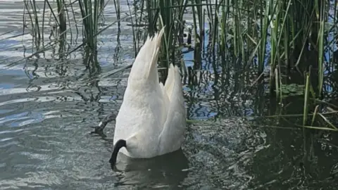 Privát hajótúra a Ráckevei/Soroksári Duna-ág vizén korlátlan Proseccóval – Budapestről indulva 16