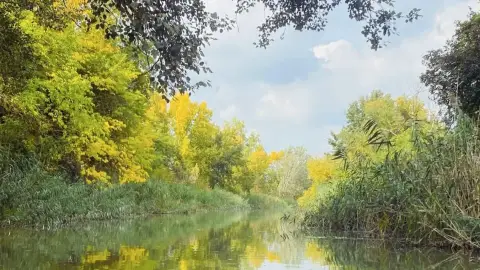 Privát hajótúra a Ráckevei/Soroksári Duna-ág vizén korlátlan Proseccóval – Budapestről indulva 18