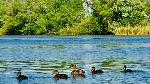 Privát hajótúra a Ráckevei/Soroksári Duna-ág vizén korlátlan Proseccóval – Budapestről indulva 3