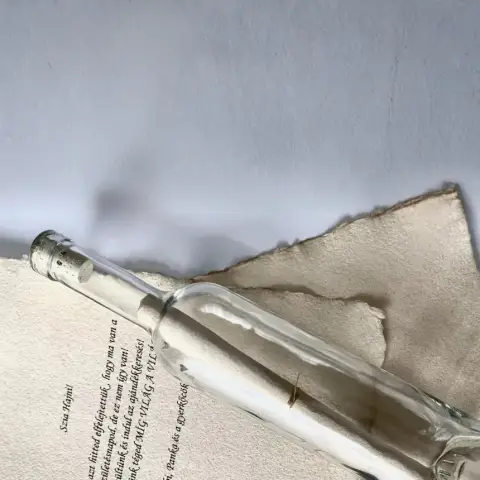 Palackpostában üzenet