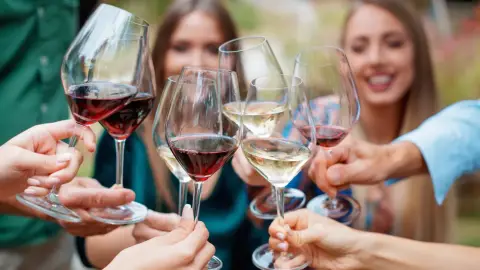 Privát borkóstoló Pátyon, a C'est la Vie Café-ban 12 fő részére 2