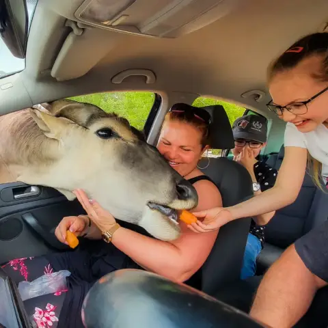 Safari és Családi Élménypark 'Családi' belépőjegy – Vár Titeket Békés megye vadonja!