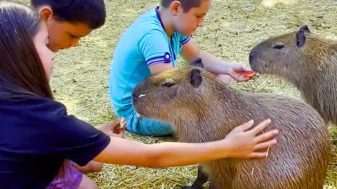 Safari és Családi Élménypark 'VIP' belépőjegy – Vár Titeket Békés megye vadonja! 43