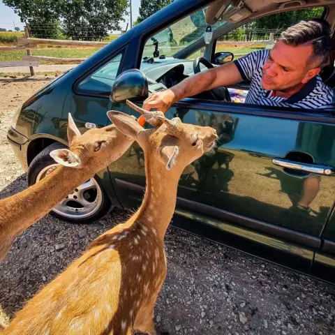 Állati kaland Apuval: Safari és Családi Élménypark – Vár Titeket Békés megye vadonja!