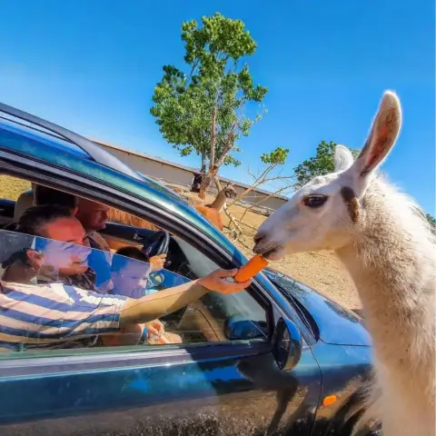 Safari és Családi Élménypark a Nagyszülőkkel – Vár Titeket Békés megye vadonja!