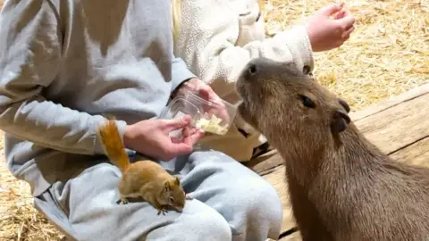 Safari és Családi Élménypark 'VIP' belépőjegy – Vár Titeket Békés megye vadonja! 29