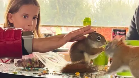 Safari és Családi Élménypark 'VIP' belépőjegy – Vár Titeket Békés megye vadonja! 21