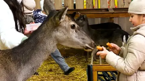 Safari és Családi Élménypark 'VIP' belépőjegy – Vár Titeket Békés megye vadonja! 17