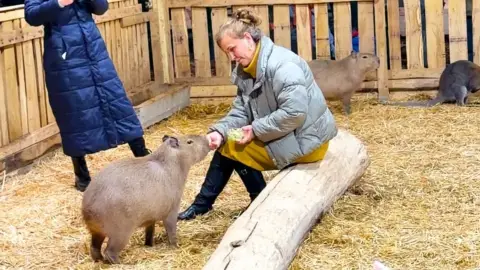 Safari és Családi Élménypark 'VIP' belépőjegy – Vár Titeket Békés megye vadonja! 7