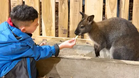 Safari és Családi Élménypark 'VIP' belépőjegy – Vár Titeket Békés megye vadonja! 12