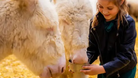 Safari és Családi Élménypark 'VIP' belépőjegy – Vár Titeket Békés megye vadonja! 11