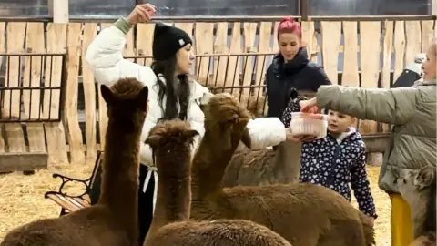 Safari és Családi Élménypark 'VIP' belépőjegy – Vár Titeket Békés megye vadonja! 14